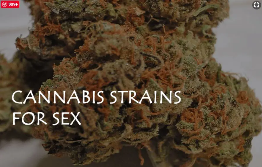 cannabis strains for sex