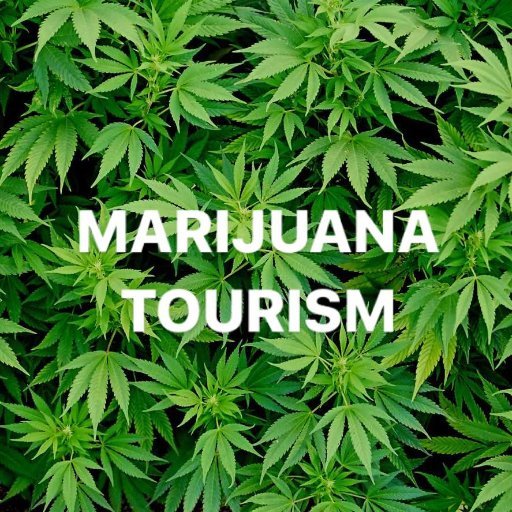 cannabis tourism in Canada