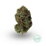 Blue Rhino Popcorn
