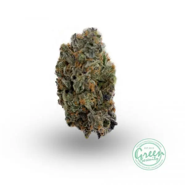 Grease Monkey