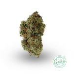 purple envy weed strain