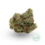 violator strain
