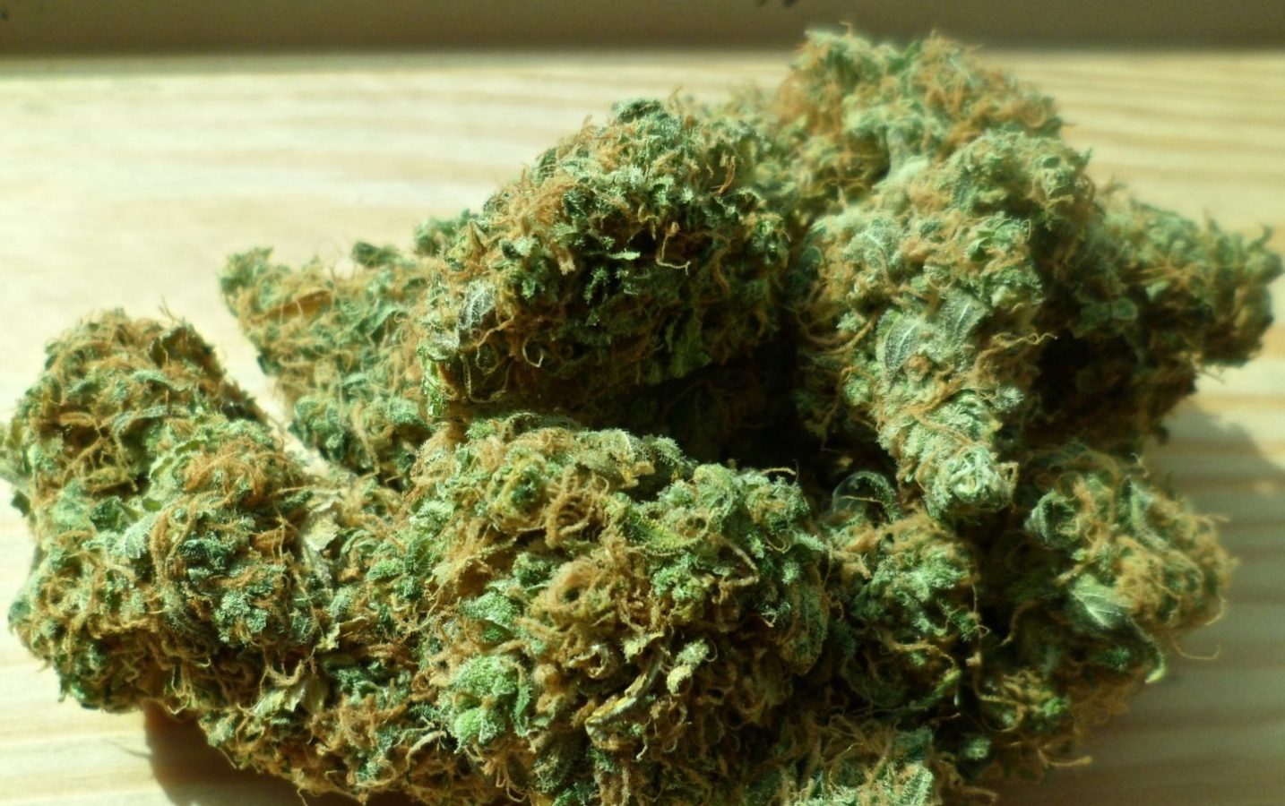 Cannabis stash