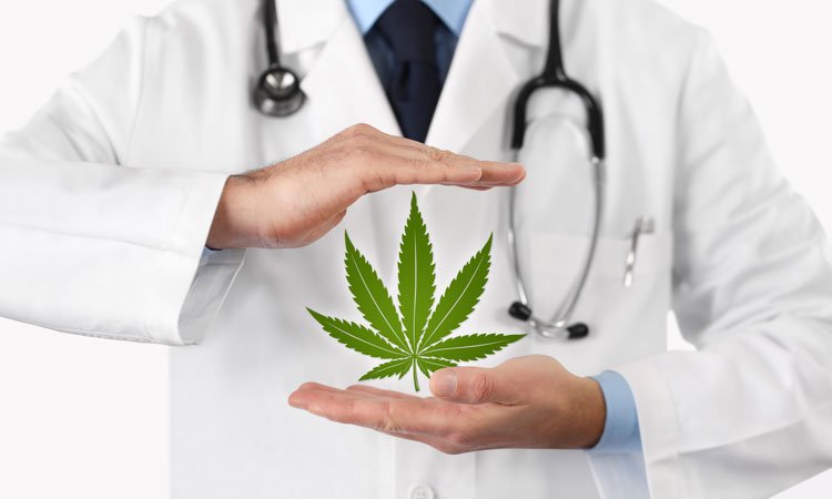 Cannabis for Medical Use