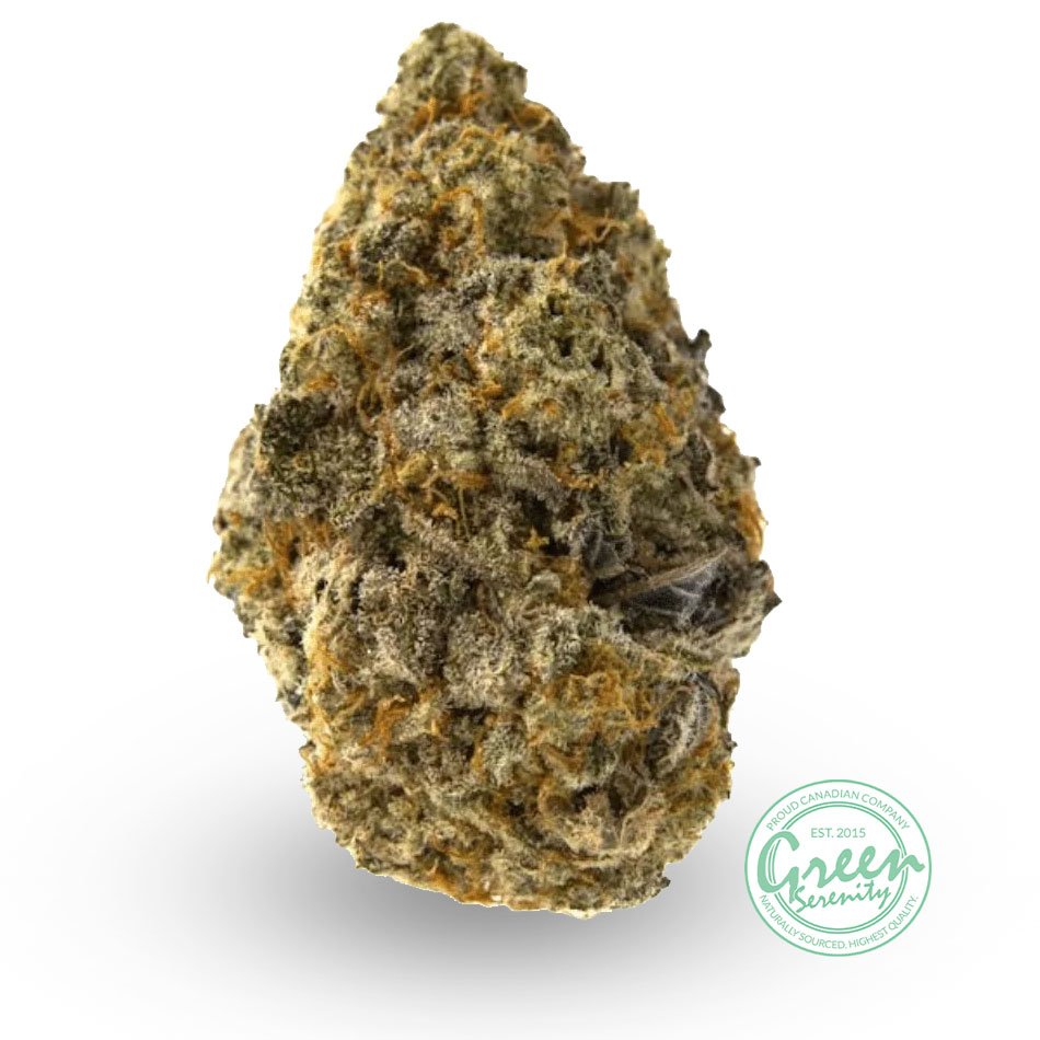 Source photograph: Alien Cookies