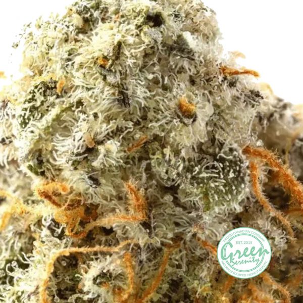 Alien Cookies – AAA – 28g33333333333