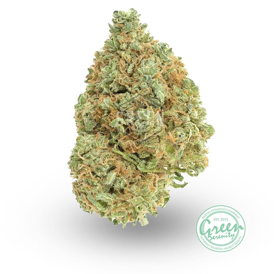 Source photograph: Amnesia Haze