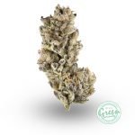 black cherry og weed strain