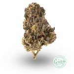 best weed delivery edmonton online