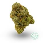 ghost weed