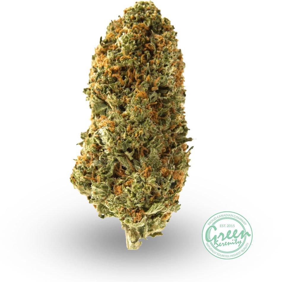 Source photograph: Jack Herer
