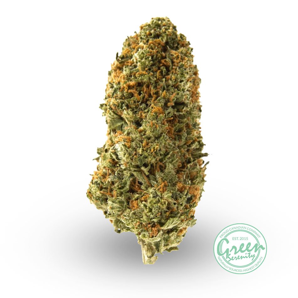 Source photograph: Jack Herer