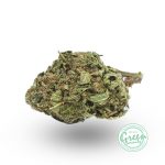 Blue Rush Strain
