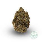 California Dream Strain