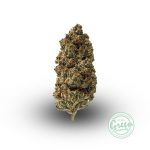 double stuffed oreos strain
