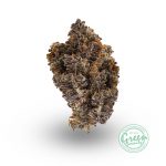 bc god bud strain
