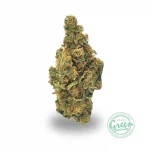 Fruit Punch Strain