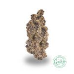 motorbreath strain