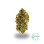 white nightmare strain allbud