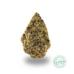 zookies weed strain