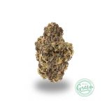 forbidden fruit strain