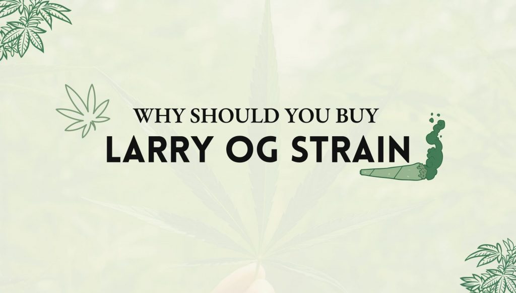 Larry OG Strain
