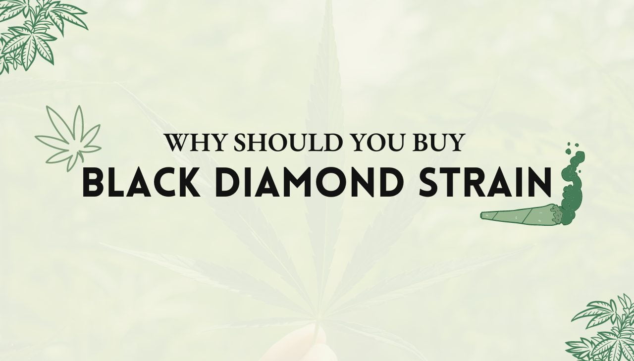 Black Diamond Strain