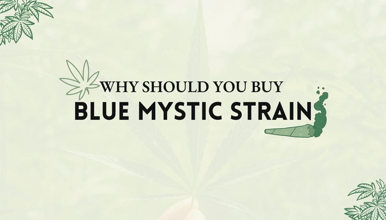Blue Mystic Strain