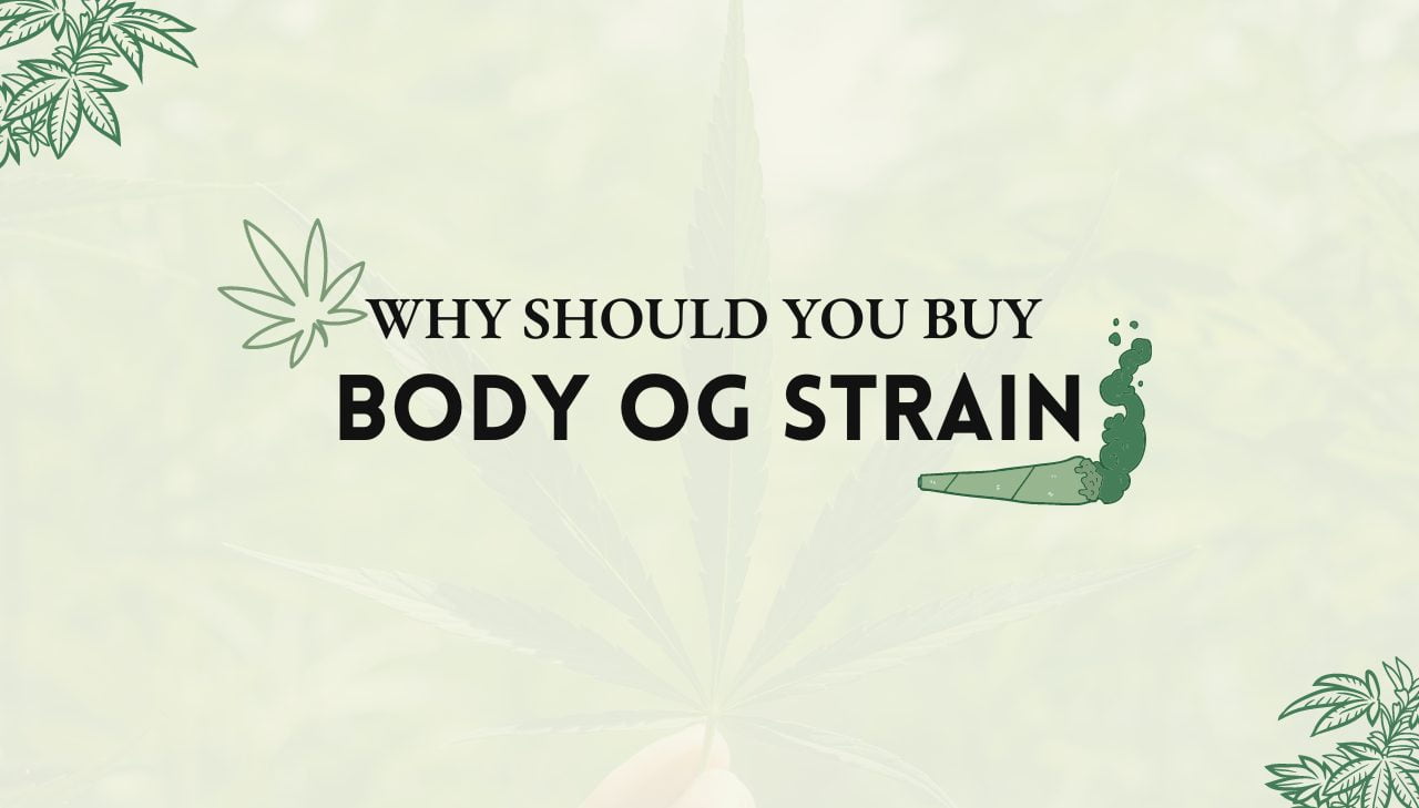 Body OG Strain