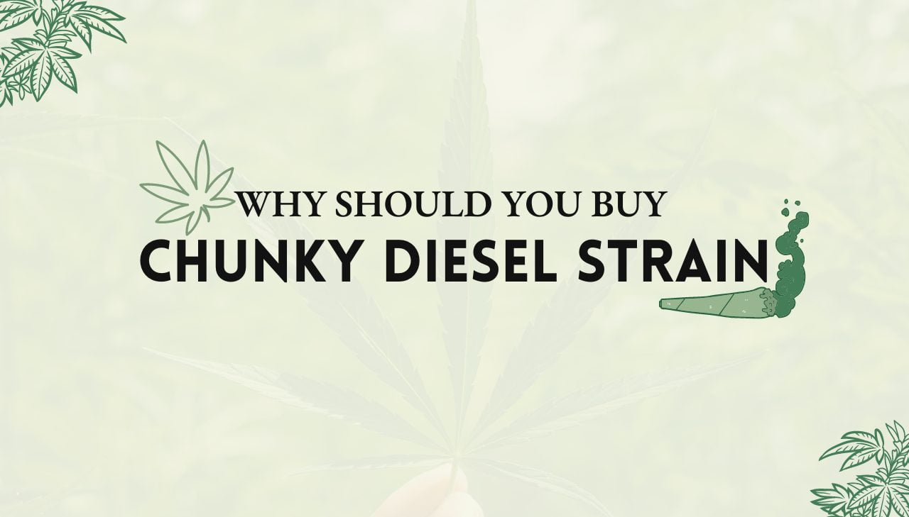Chunky Diesel Strain