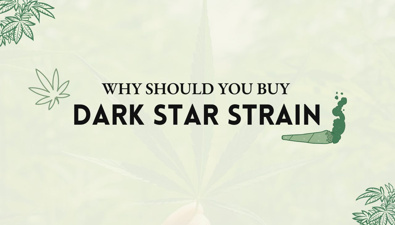 Dark Star Strain