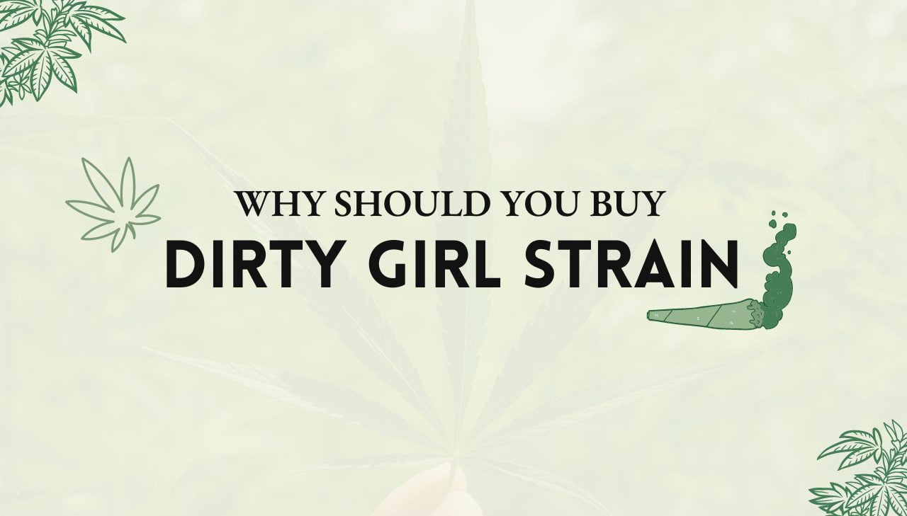 Dirty Girl Strain