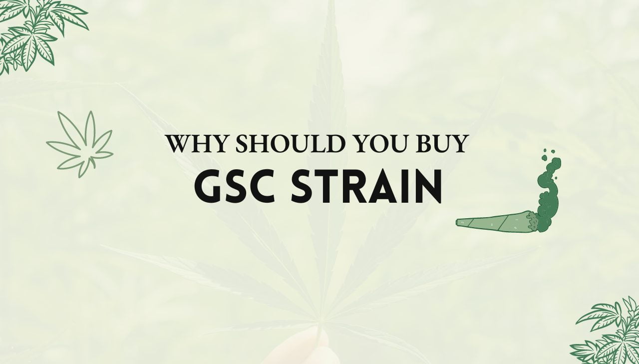 GSC Strain