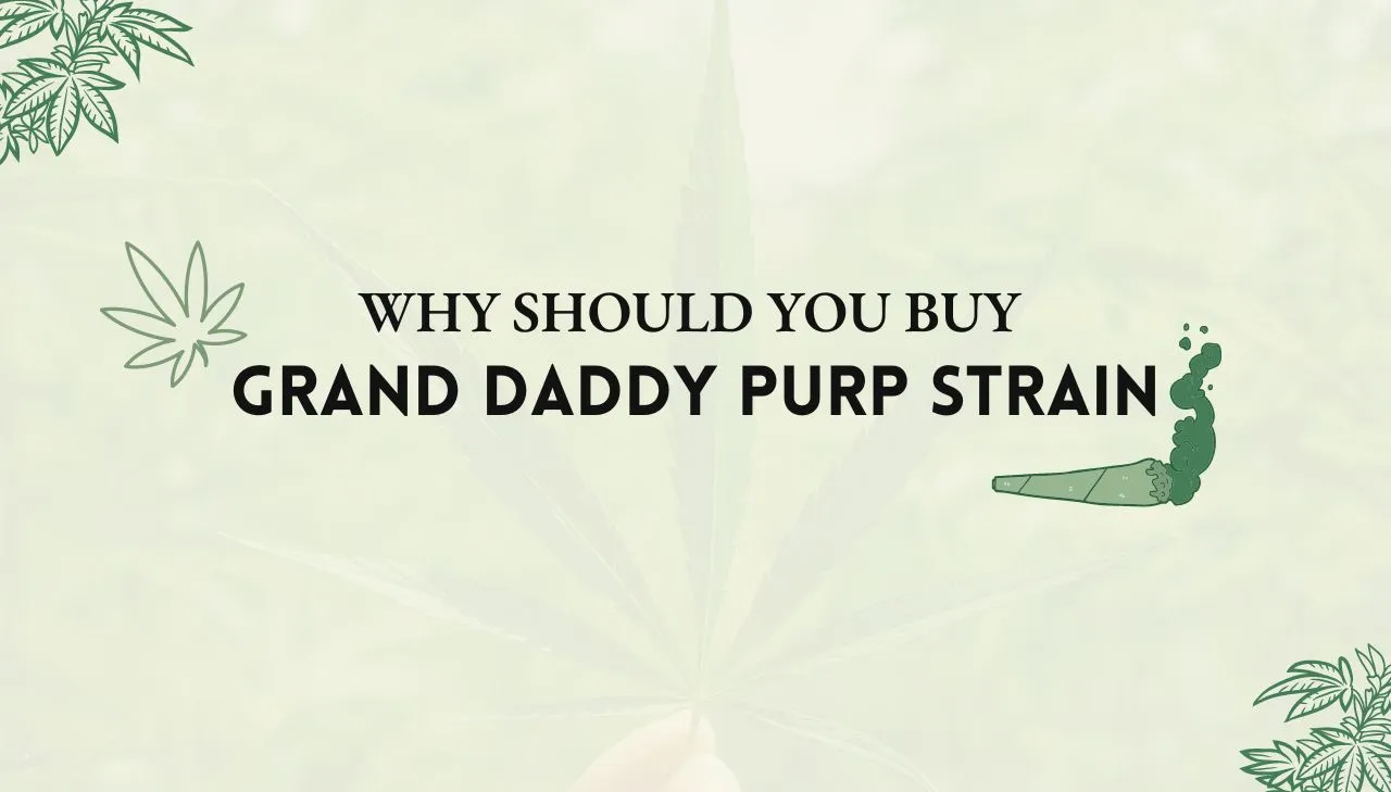 Grand Daddy Purp
