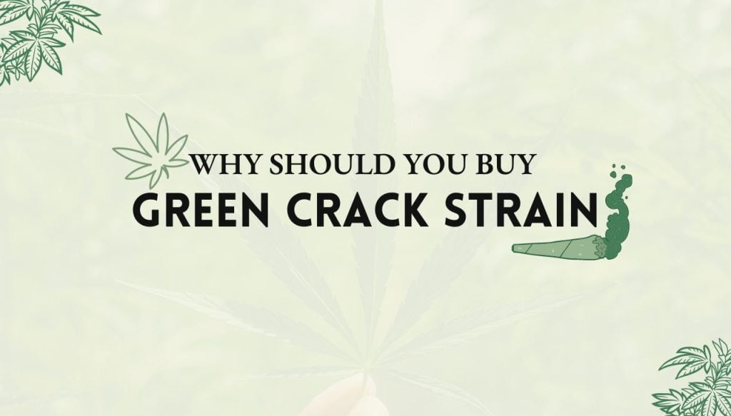 Green Crack Strain