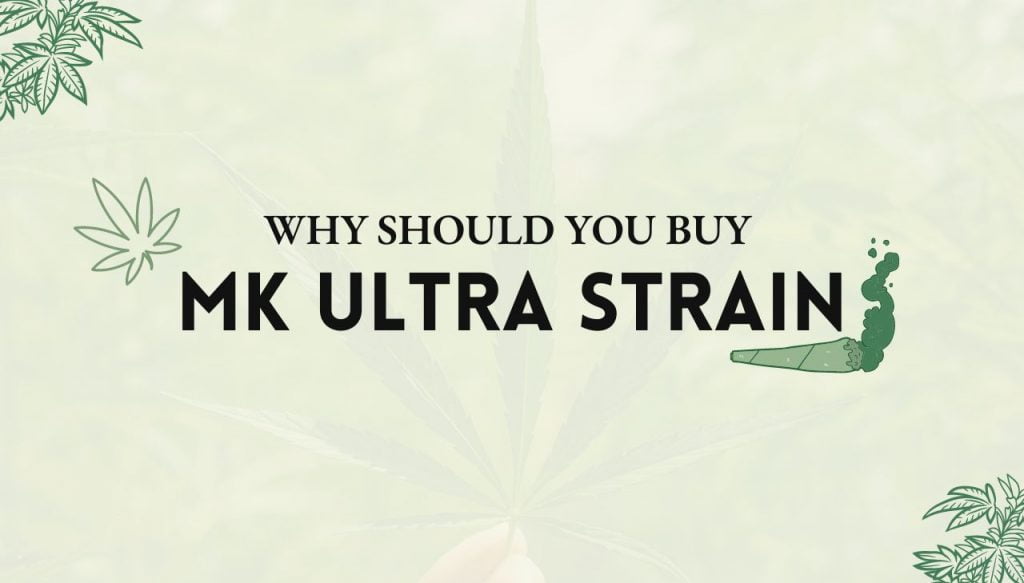MK Ultra Strain