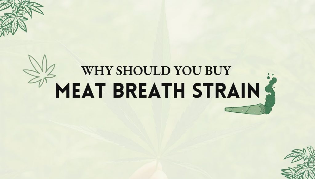 Meat Breath strain