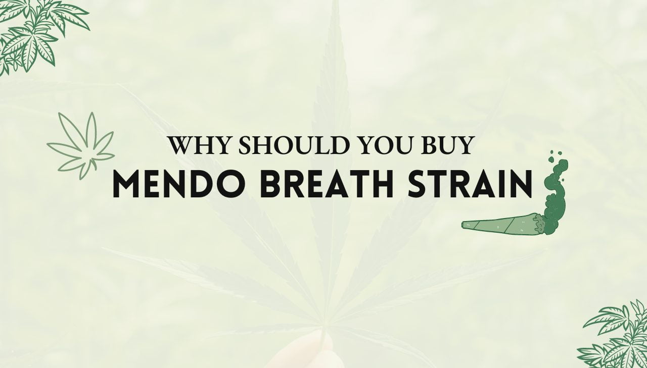 Mendo Breath