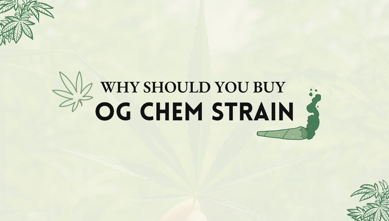 OG Chem Strain