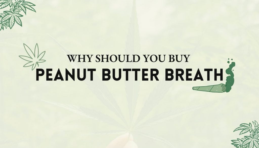 Peanut Butter Breath Cannabis