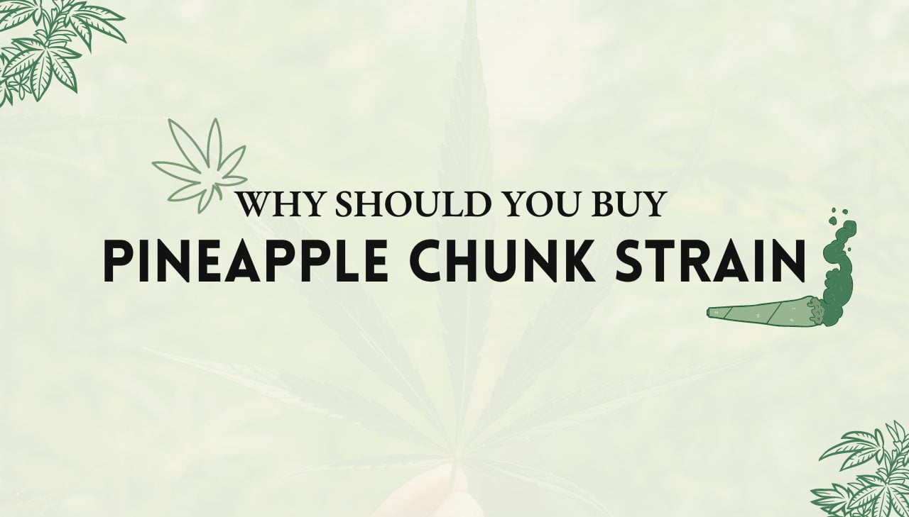 Pineapple Chunk Strain