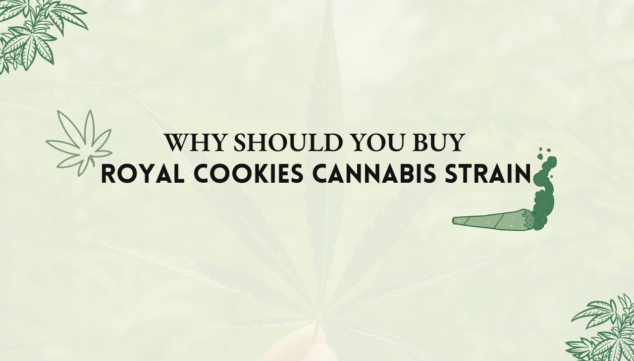 Royal Cookies Cannabis Strain