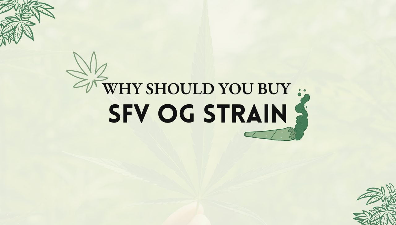 SFV OG Strain