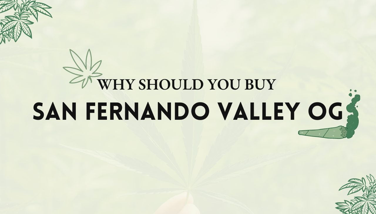 San Fernando Valley OG Strain