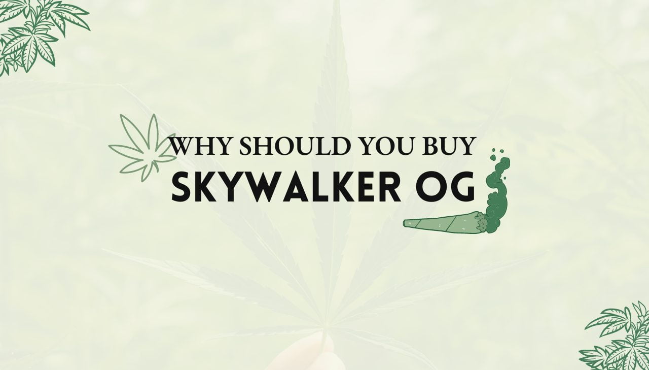 Skywalker OG