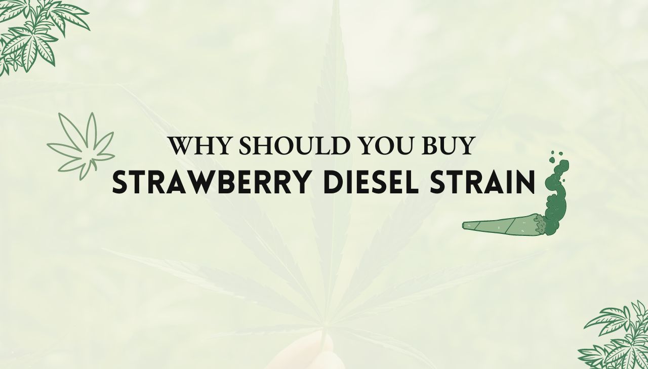 Strawberry Diesel