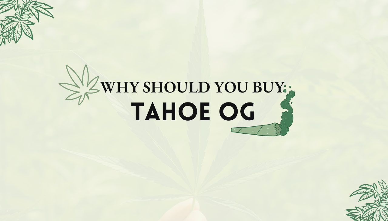 Tahoe OG