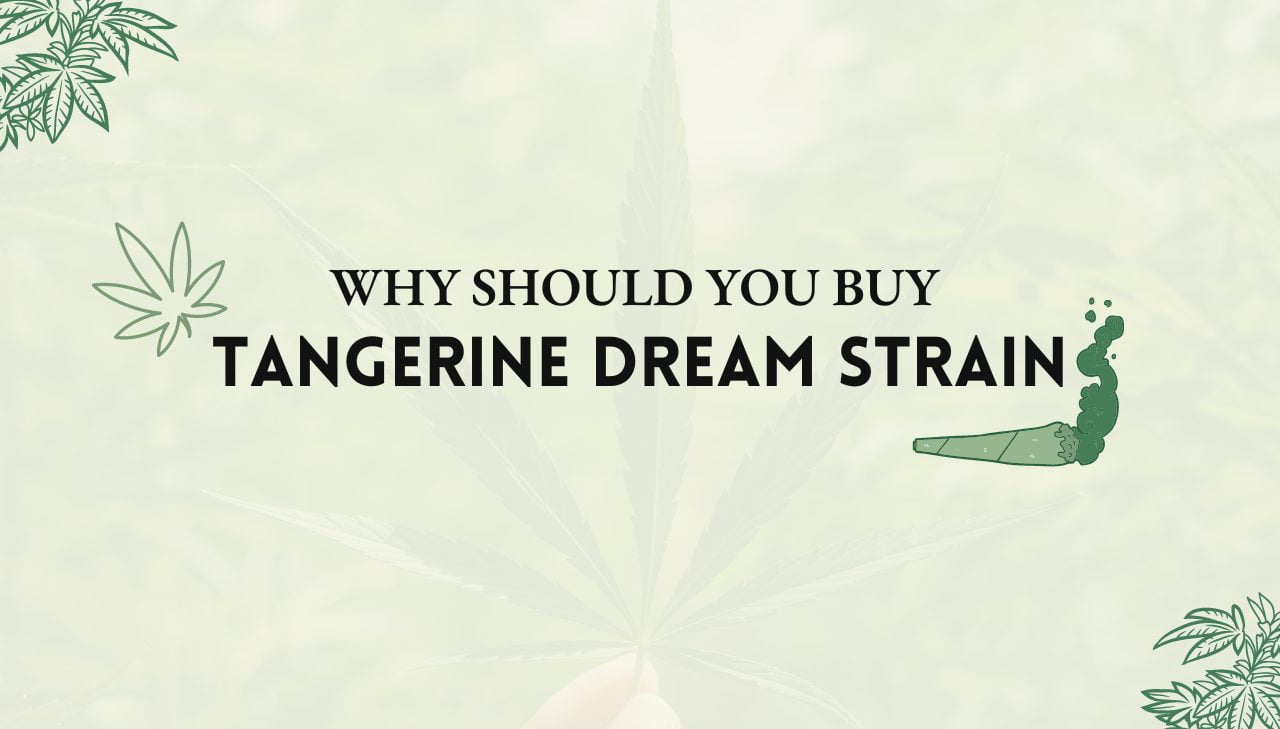 Tangerine Dream Strain