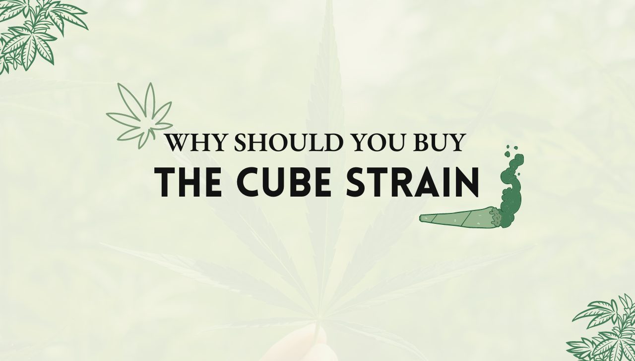 The Cube Strain