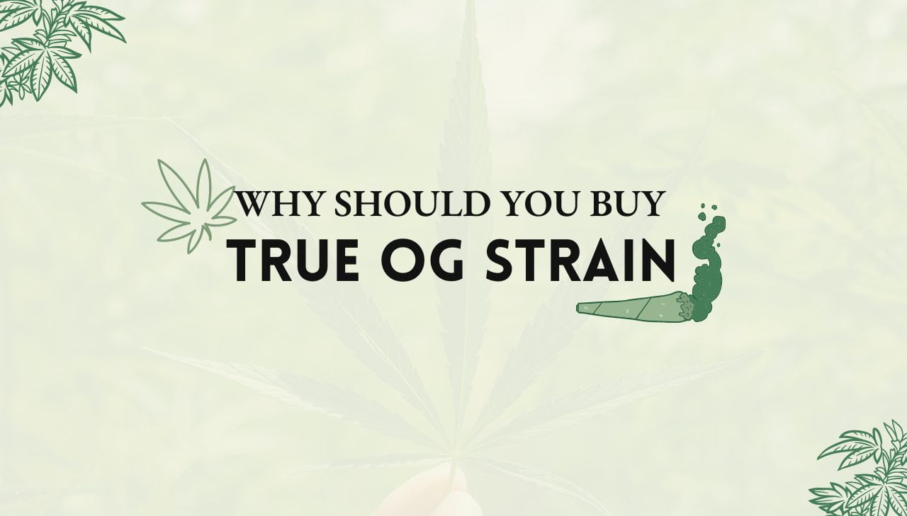 True OG Strain